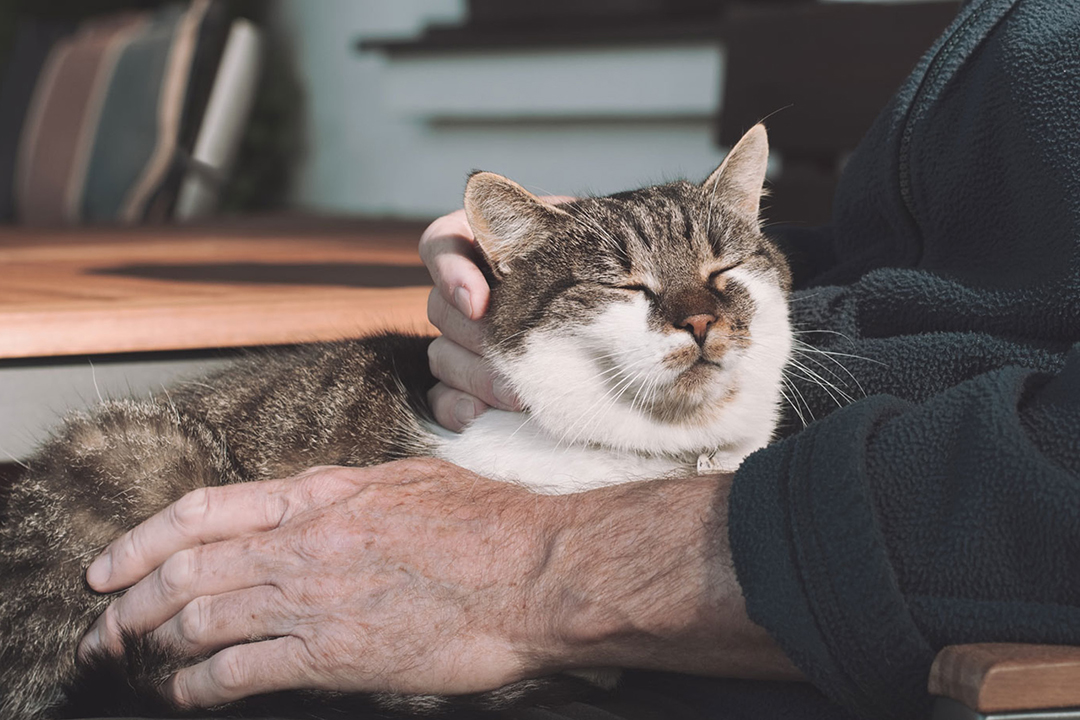 How Home & Community Supports Patients and Their Pets